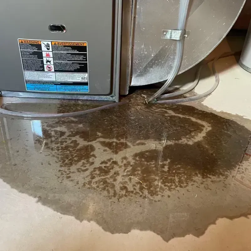 Appliance Leak Cleanup in Gleneagle, CO